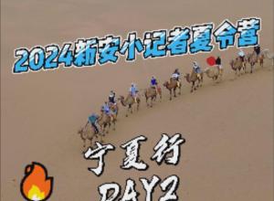 2024新安小记者夏令营宁夏行DAY2嗨翻腾格里