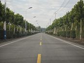 濉溪縣四鋪鎮：聚焦人居環境整治 打造美麗宜居鄉村