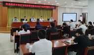 壽縣舉行新能源汽車行業專利供需及知識產權質押融資對接會