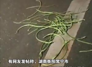 一女老师与两名公职人员
菜地里夜摘豆角被村民发现 
双方发生冲突, 警方已介入