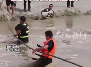 看得揪心！新疆民警救回牧民170多只羊 急流中摔倒仍紧紧抓着羊