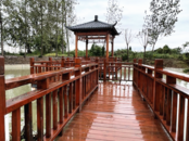 六安葉集姚李雙紅村：基層治理產業興 和美鄉村繪畫卷