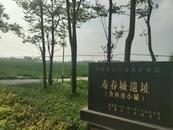 周强：探寻战国楚都钜阳与寿春