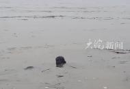 蕪湖網(wǎng)紅雕塑“一家三口”已“消失”在江水中