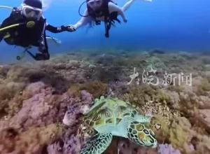 4人潜水失联 官方正在搜救，家属：均有潜水证 目前1人已找到