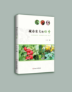 董静：城市农夫的四季