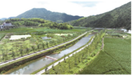 安慶岳西縣鷺鷥河獲評省級“美麗河湖”