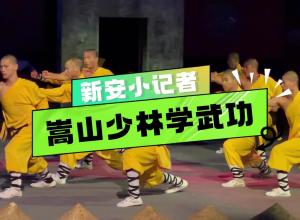 新安小记者嵩山少林学武功