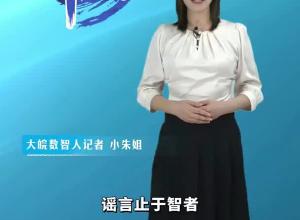 大皖一周辟谣 2024年第二十五期