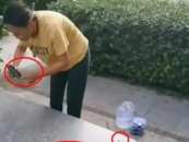 女子在小區內放生多盒蟑螂，或涉嫌犯罪