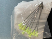 小區(qū)流浪貓身中10箭死亡，還有多只貓咪被射傷！嫌疑人已被警方控制