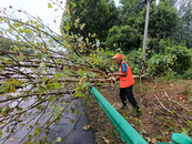 六安市公路處迅速行動，秋雨中守護(hù)道路安全