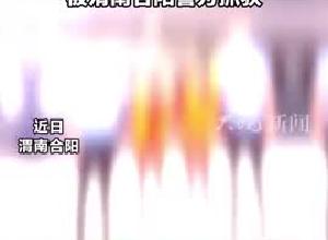 累计转发130个淫秽视频 两人涉嫌传播淫秽物品 被渭南合阳警方抓获