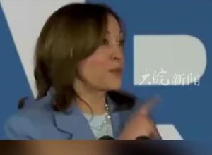 哈里斯正式获得 民主党总统候选人提名