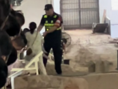 女子參觀兵馬俑抱孩子走進俑坑，當地回應：孩子發燒抽搐，不得已為之