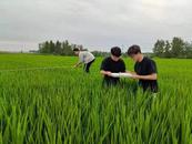 蚌埠五河：科技助力田管忙