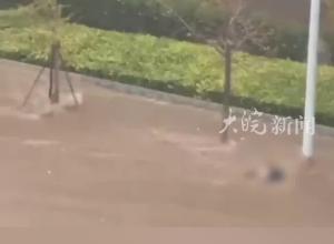 大连内涝致两人被冲到大客车下死亡？警方回应：遇难者系父女关系初步调查为溺亡