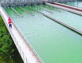 24.22萬立方米！巢湖市域日供水量再創新高