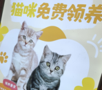 合肥市民质疑宠物店：免费领养猫咪，为何还要每个月付钱？