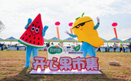 肥西嚴(yán)店鎮(zhèn)：優(yōu)質(zhì)水果推介會暨悅享嚴(yán)店采摘游啟幕