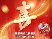 735萬元！六安彩民10元擊中雙色球頭獎