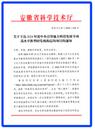 皖江新興產業技術發展中心兩個項目獲中央引導地方科技發展專項新型研發機構定向立項
