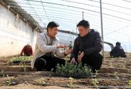 淮北市杜集區高岳街道：建立三聯機制 打造“國企聯村”示范樣板