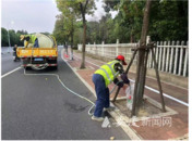 安慶：行道樹掛上“隨身杯” 補水降溫又“止渴”