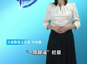 大皖一周辟谣 | 2024年第三十期