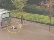 大連內澇致兩人被水沖到大客車下死亡？派出所回應