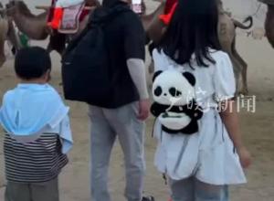 一名游客被骆驼摔落地上 甘肃鸣沙山月牙泉景区： “骆驼别看体格大，但生性胆子小” 游客身体无大碍 骆驼没有受伤