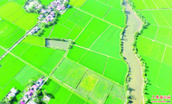 六安：初秋田園披錦繡