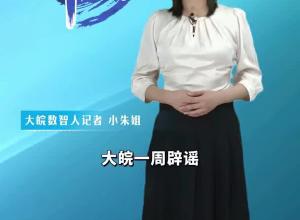 大皖一周辟谣 | 2024年第三十二期