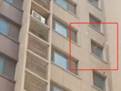 鄭州一女子撒下10多萬現金后跳樓？當地回應：系自殺，撿到錢可移交物業或警方