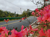 六安市2024年公路養護擂臺賽第二季度頒獎活動順利舉行