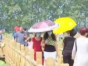 江南多地熱成“火爐” 持續高溫是否反常？