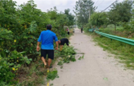 小溪鎮霍莊村：消除道路隱患，保障安全出行