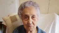 117歲！世界最長壽老人去世