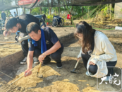 蕪湖神墩頭遺址開始進(jìn)行考古發(fā)掘