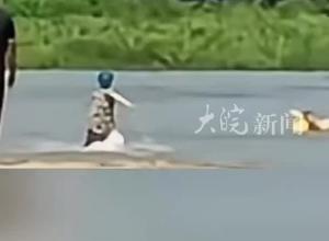 与山东大哥栾留伟一起参与救人 还有一位救人牺牲的英雄叫赵金 栾留伟、赵金拟被认定见义勇为