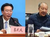 省委巡視期間，他倆主動投案
