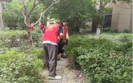菱湖社區開展夏季環境衛生整治活動