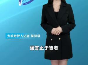 大皖一周辟谣 | 2024年第三十一期