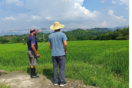 青陽縣杜村鄉(xiāng)：全力以赴抗旱保收