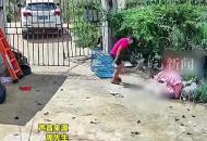 男子整理麻袋時掉出來一條蛇 抓住后開啟“螺旋槳”式掄蛇：怕它反咬一口 就一直甩它 甩暈后裝袋放生