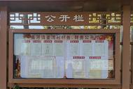 懷寧縣高河鎮：以新時代政務公開為抓手   推進鄉村振興建設 