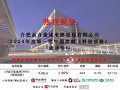 2024第一期中期票据（科创票据）成功发行 晶合集成首次亮相债务资本市场
