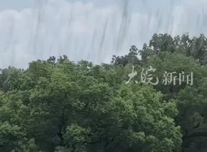 杭州西湖边“妖气冲天”？昆虫专家：大量摇蚊成虫交配的自然现象 不咬人 交配后会很快死亡