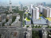 小葉醫探｜上海曙光醫院安徽醫院已設立5個長三角名中醫工作室