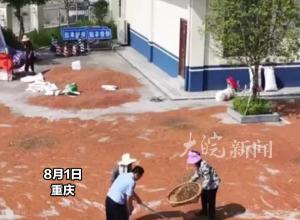 派出所开放大院给群众晒粮，可过夜 能帮收 更不怕被偷
